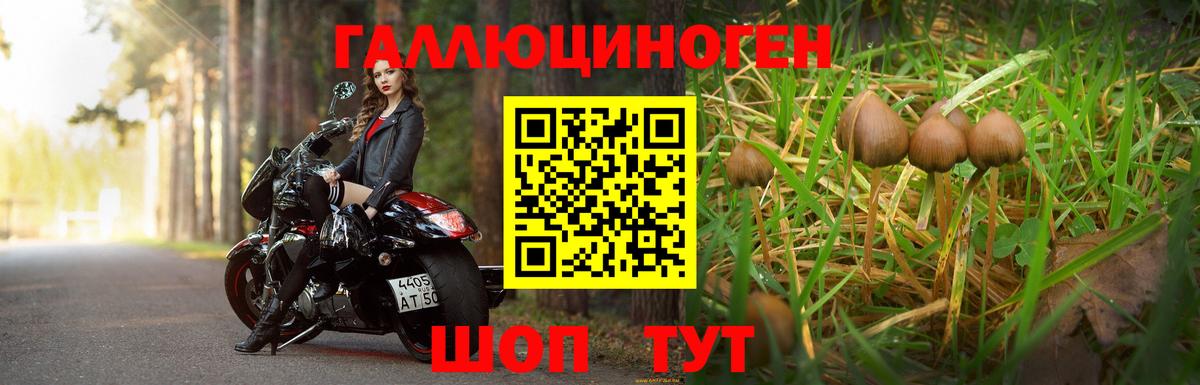 Галлюциногенные грибы мухоморы Воронеж